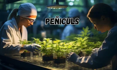 Peñiculs: A Revolutionary Approach To Health And Happiness