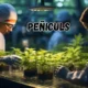 Peñiculs: A Revolutionary Approach To Health And Happiness