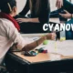 Cyanová: The New Frontier in Dye Technology