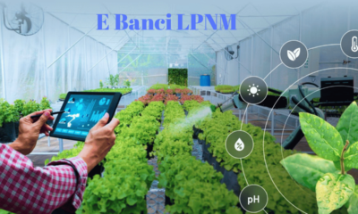 Understanding e-Banci LPNM: A Portal for the Malaysian Pineapple Industry