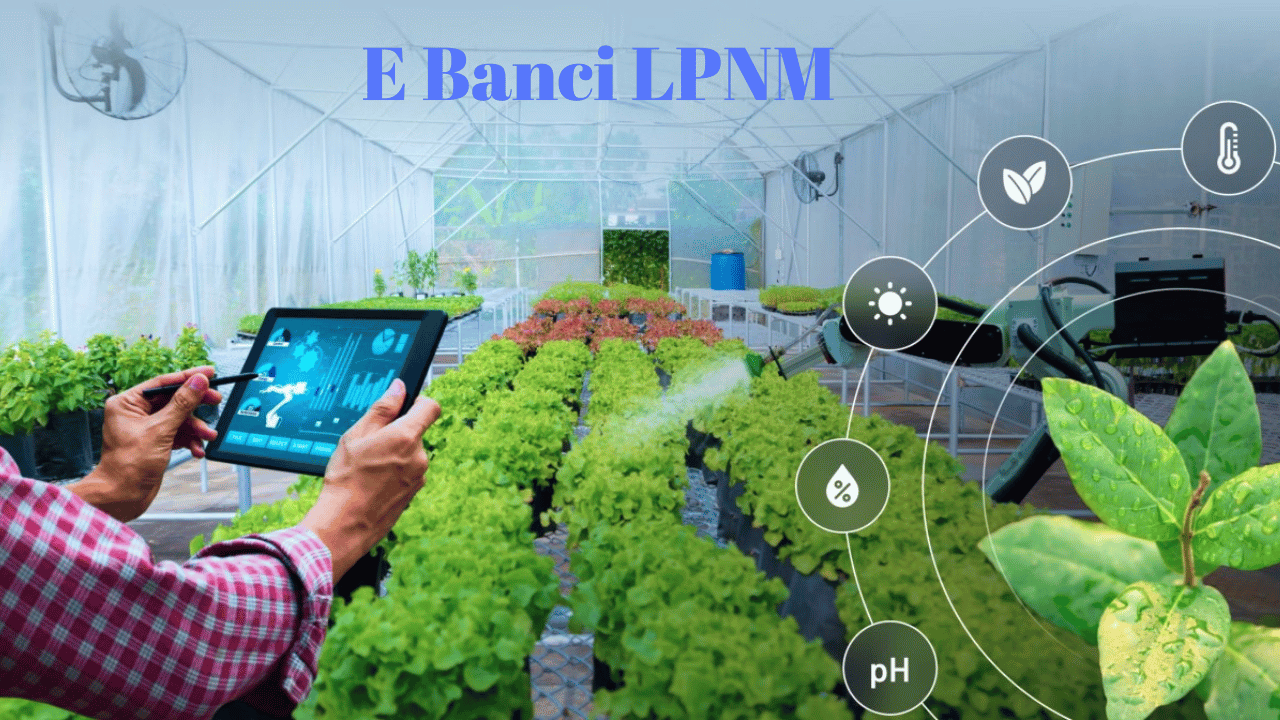 Understanding e-Banci LPNM: A Portal for the Malaysian Pineapple Industry