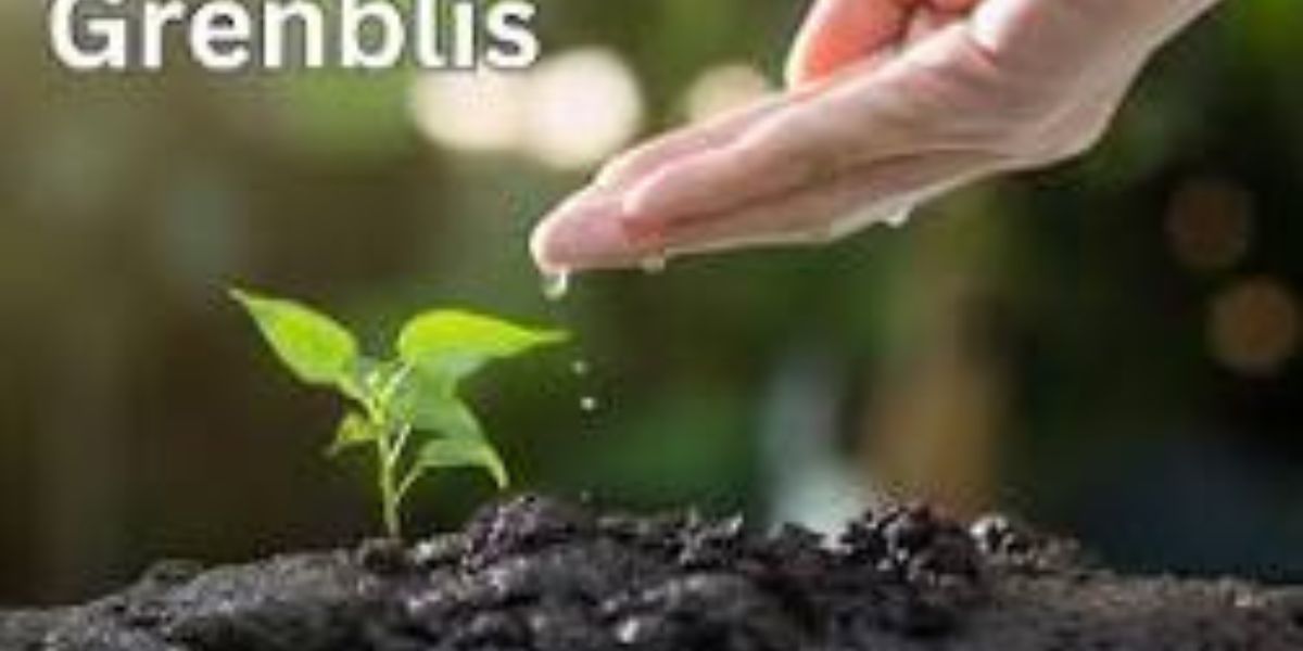 Grenblis: Revolutionizing Green Energy Solutions