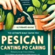 Peiscans Transform Your Kitchen and Health